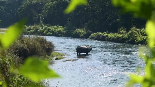 Chitwan Wildlife